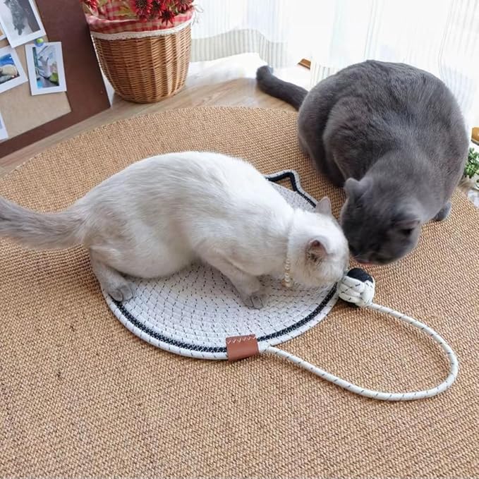 Cat Scratcher Mat 🐾 – 17'' Round Rope Pad with Ball 🎾 | Protects Furniture 🛋️ & Keeps Indoor Cats Happy 😺
